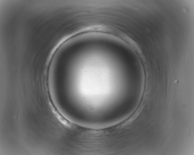 X0000082730816200701261243