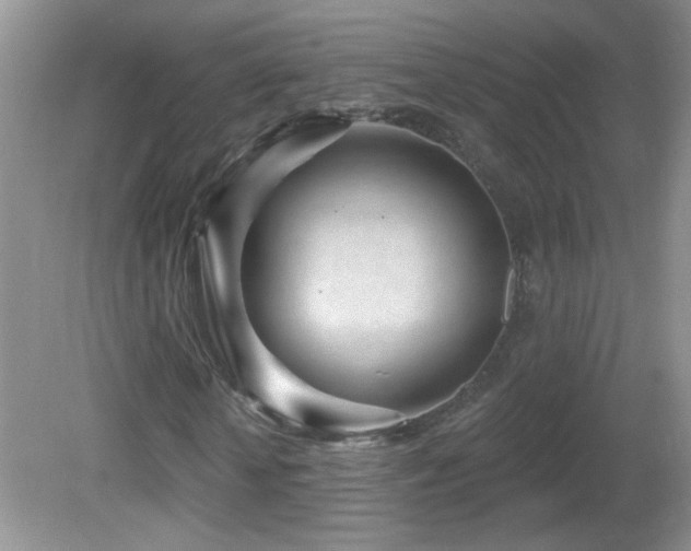 X0000082730818200701261242