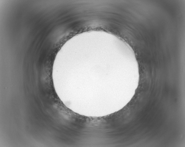 X0000082730824200701261242