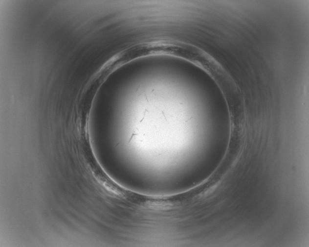 X0000082730825200701261243