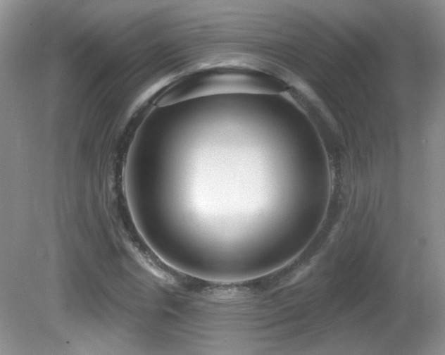X0000082730826200701261243