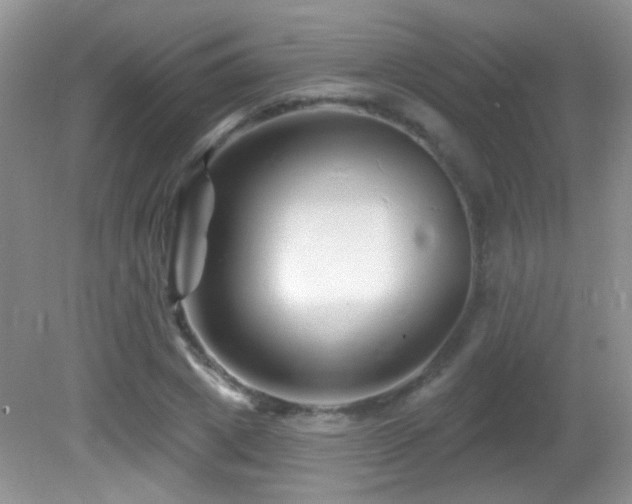 X0000082730833200701261243