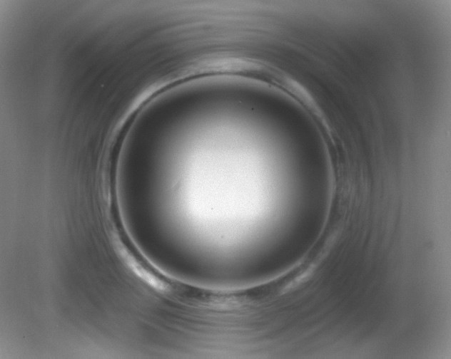 X0000082730843200701261243