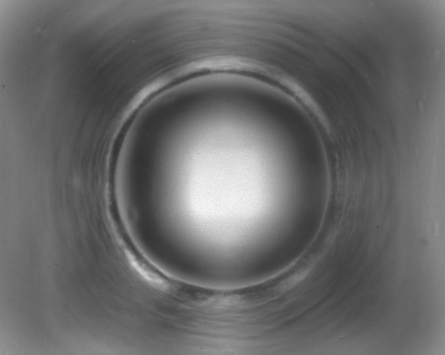 X0000082730845200701261243