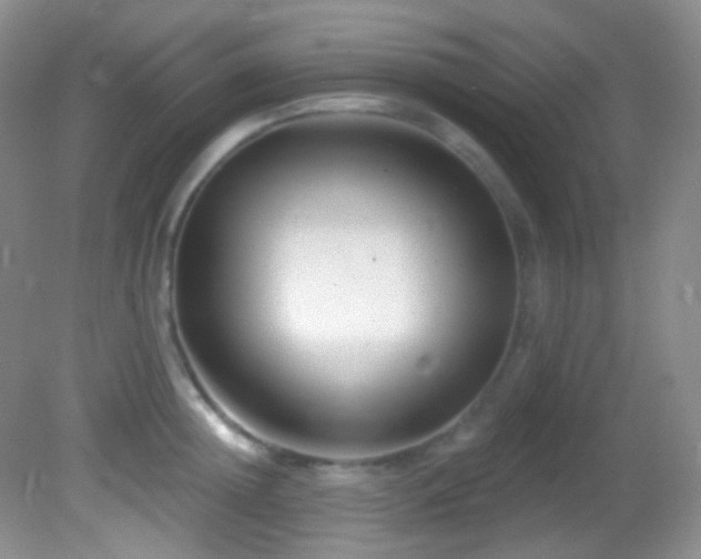 X0000082730852200701261243