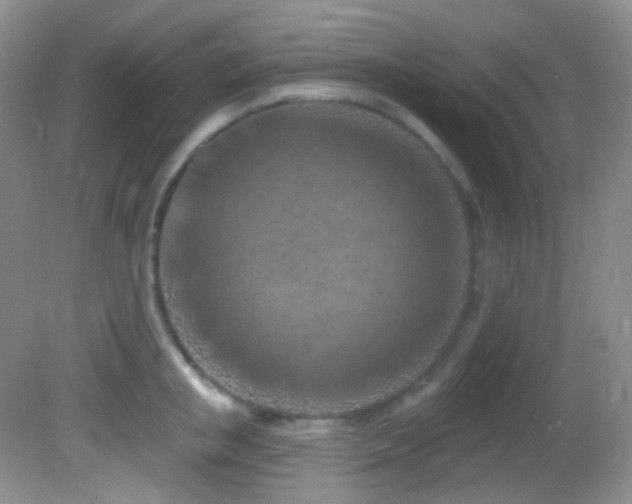 X0000082730853200701261243