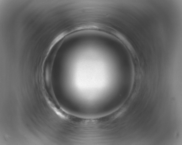 X0000082730858200701261243