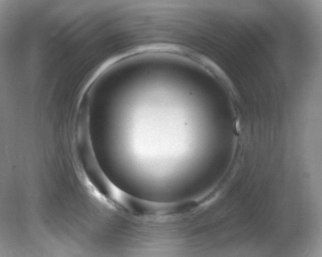 X0000082730860200701261243