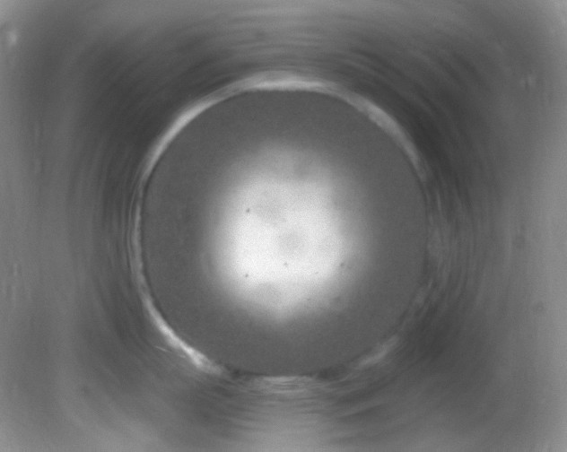 X0000082730863200701261243