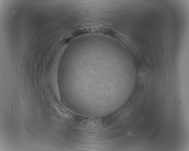X0000082730865200701261242