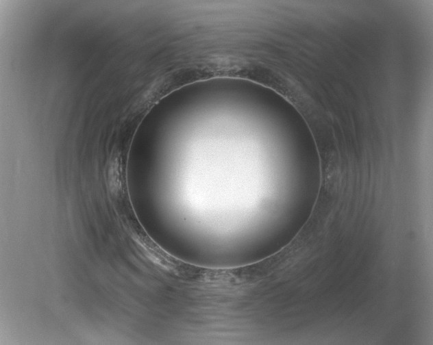 X0000082730866200701261242