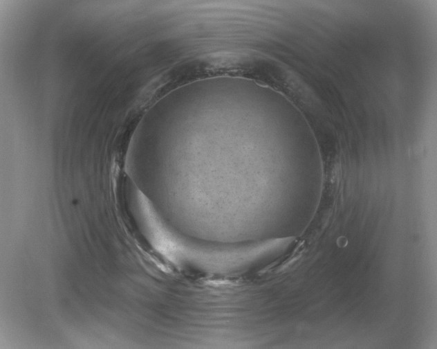 X0000082730868200701261242