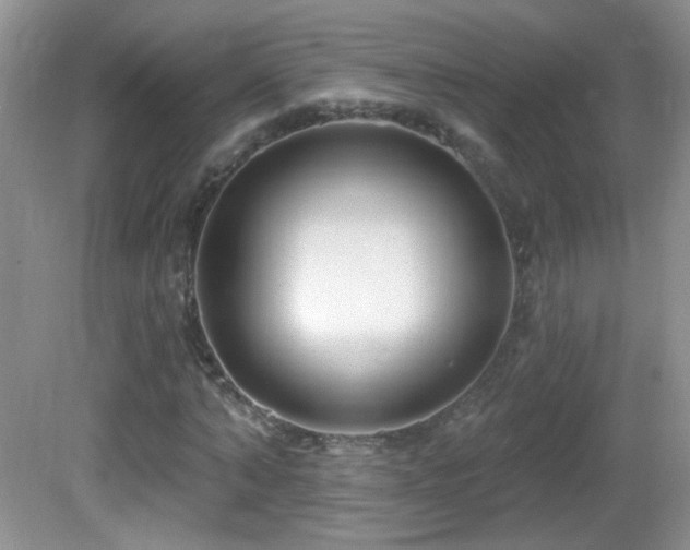 X0000082730870200701261242