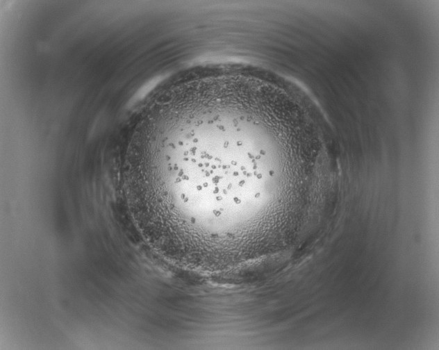 X0000082730871200701261242