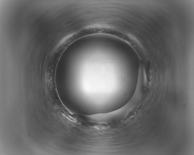 X0000082730872200701261242