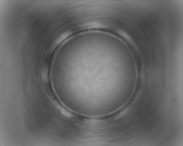 X0000082730873200701261242