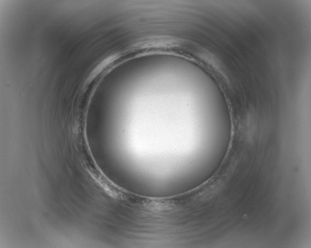X0000082730874200701261242