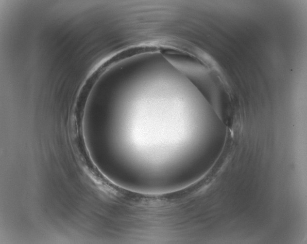 X0000082730876200701261242