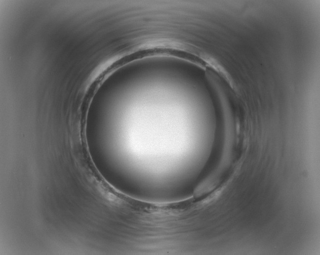 X0000082730877200701261242