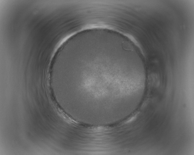 X0000082730879200701261242