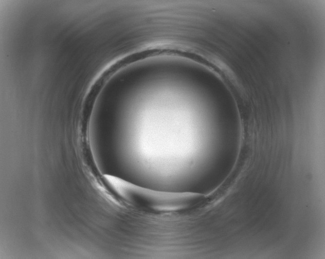 X0000082730880200701261242