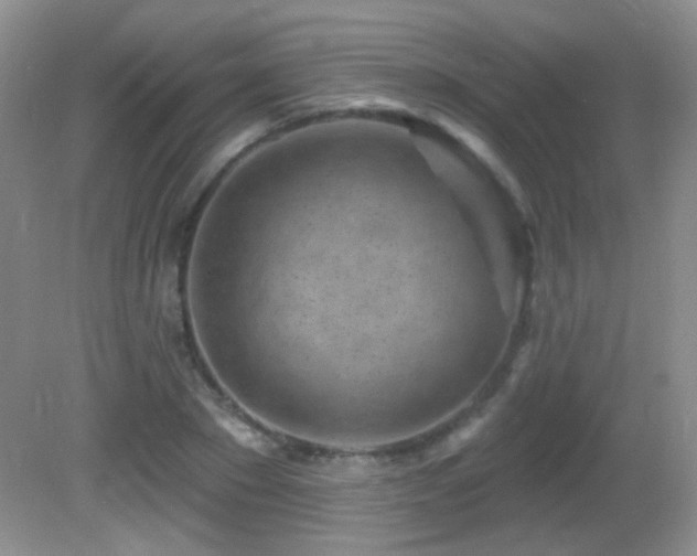 X0000082730881200701261242