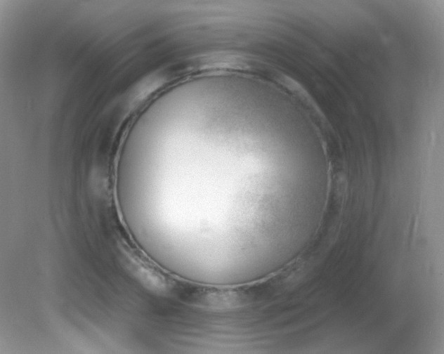 X0000082730882200701261242
