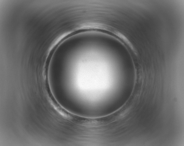 X0000082730885200701261242