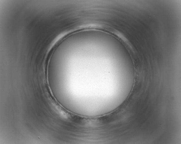 X0000082730886200701261242