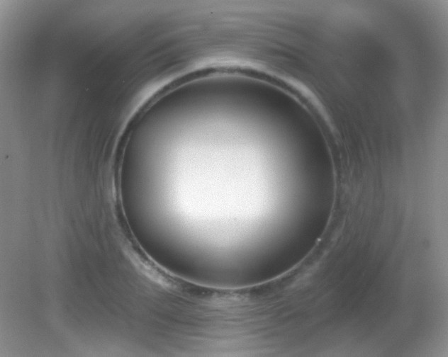 X0000082730887200701261242