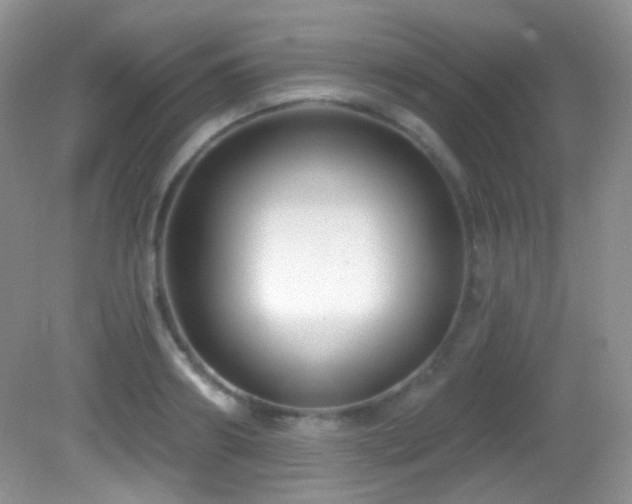 X0000082730890200701261242