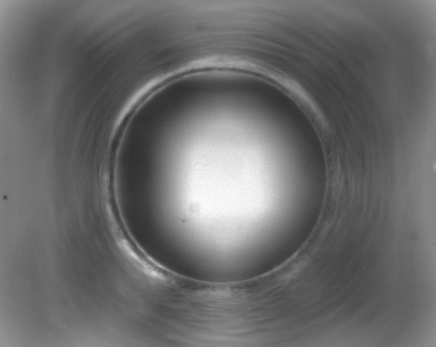 X0000082730896200701261242
