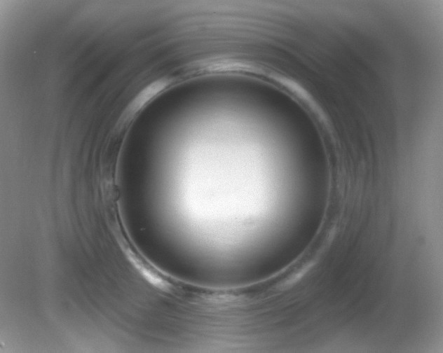 X0000082730897200701261242