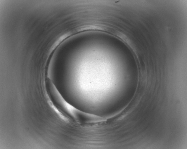 X0000082730898200701261242
