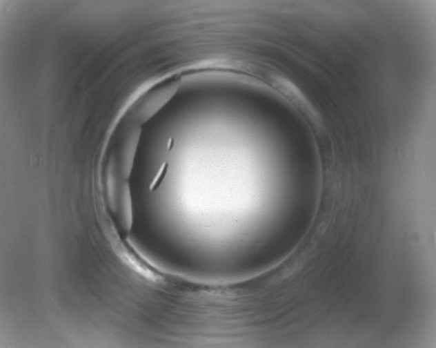 X0000082730900200701261242
