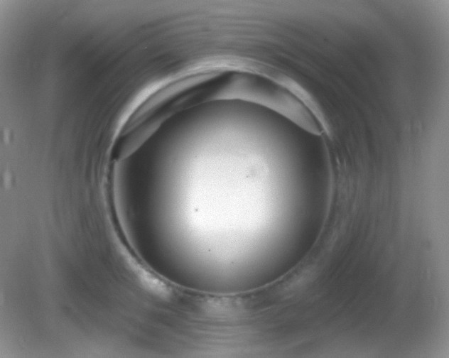 X0000082730901200701261242