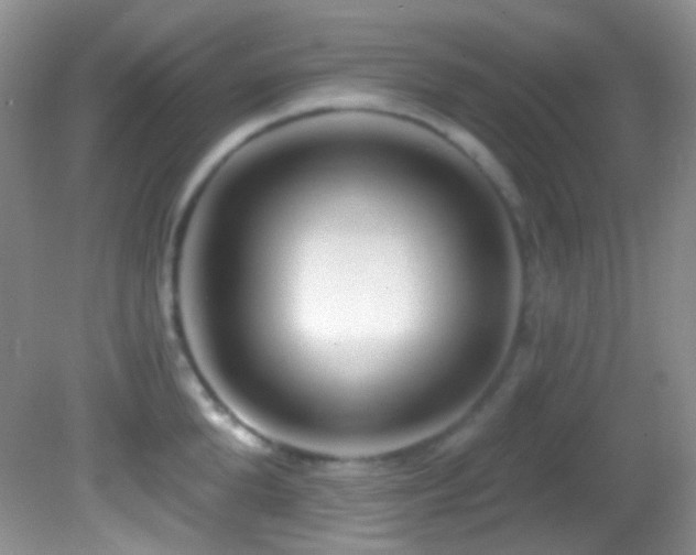 X0000082730904200701261242