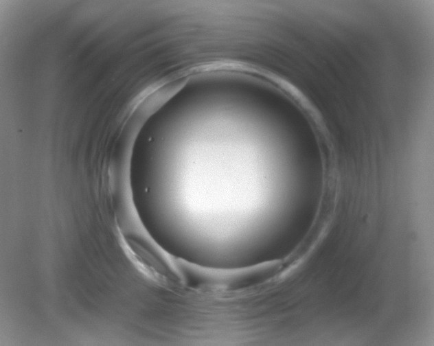 X0000082730905200701261242