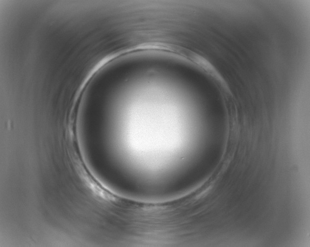 X0000082730908200701261242