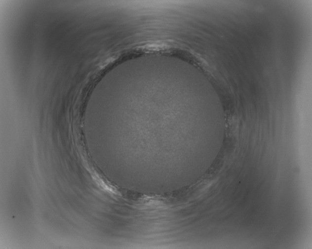 X0000082730913200701261241