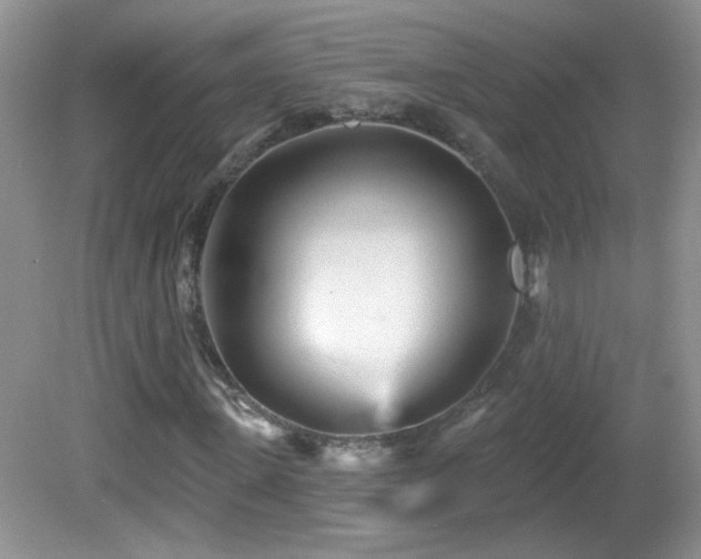 X0000082730915200701261241