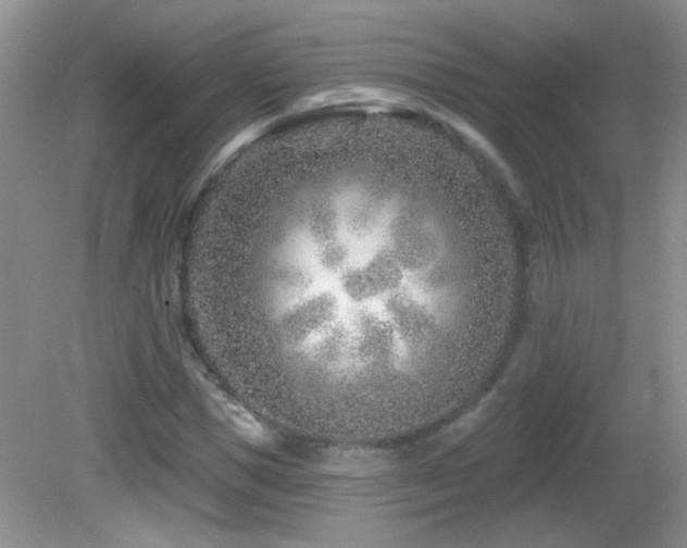 X0000082730921200701261241