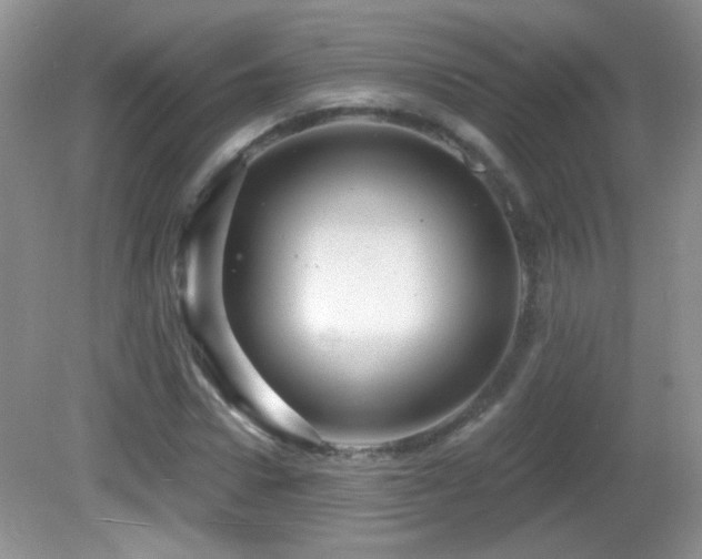 X0000082730922200701261241