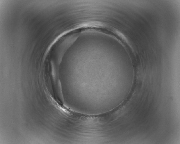 X0000082730923200701261241