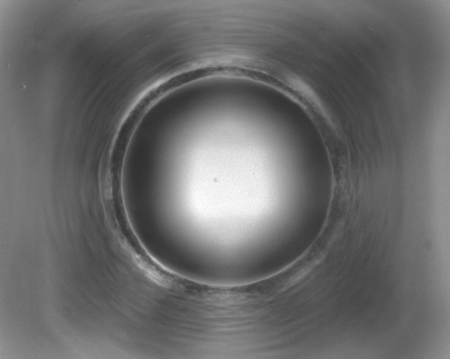 X0000082730924200701261241