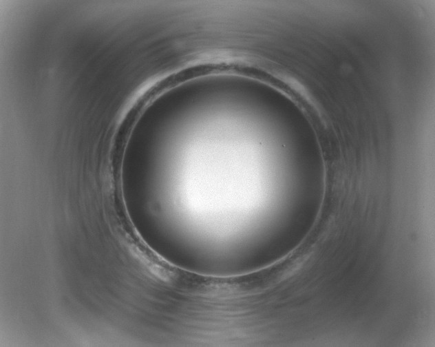 X0000082730927200701261241
