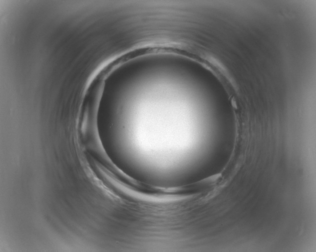 X0000082730928200701261241