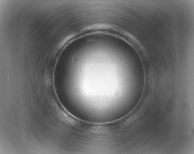 X0000082730929200701261241