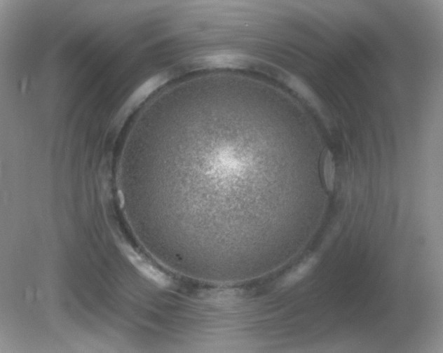 X0000082730930200701261241