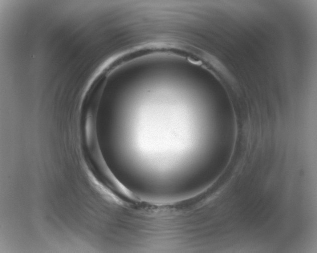 X0000082730934200701261241